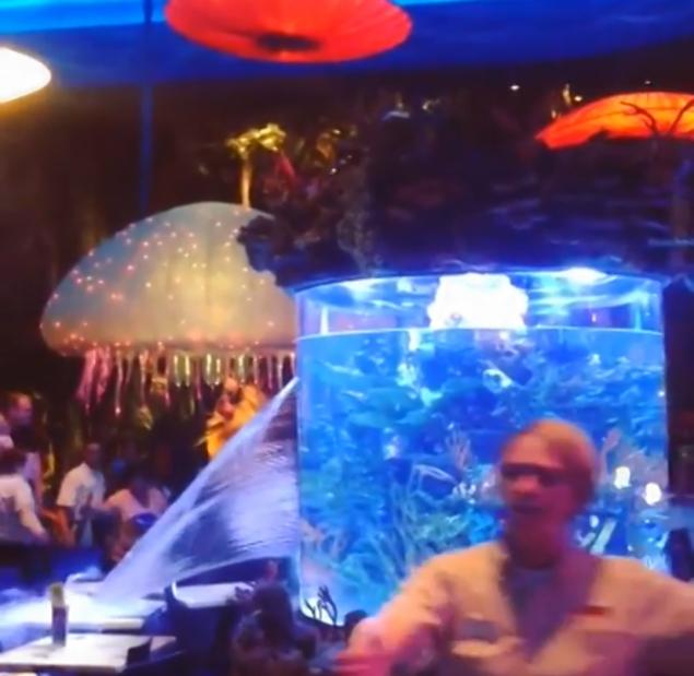 Disney guests flee as aquarium bursts
